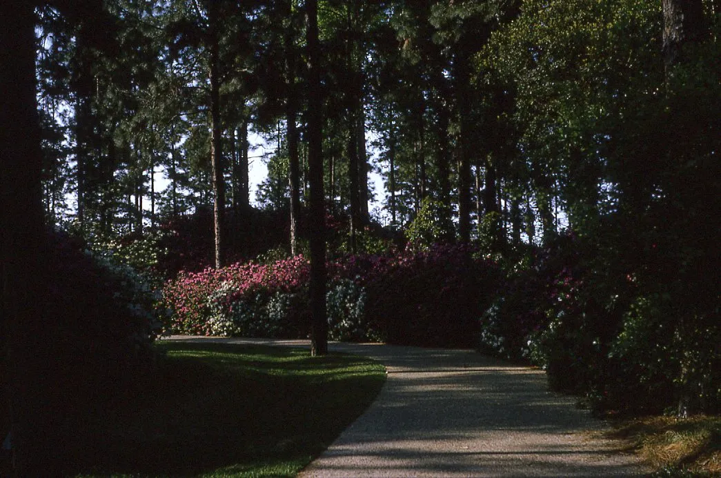 Hodges Gardens State Park 1970s