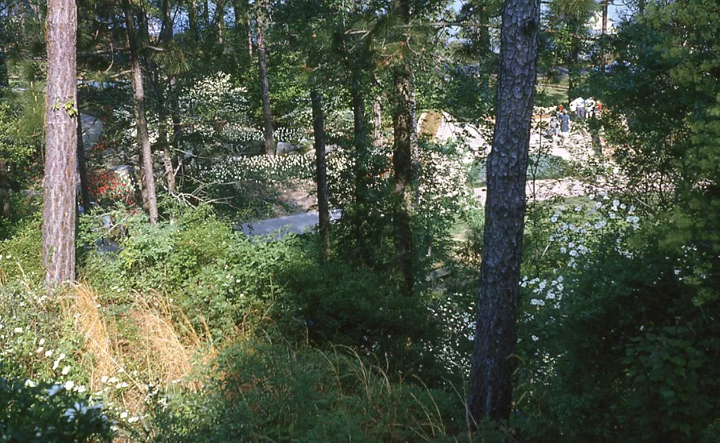 Hodges Gardens State Park 1970s