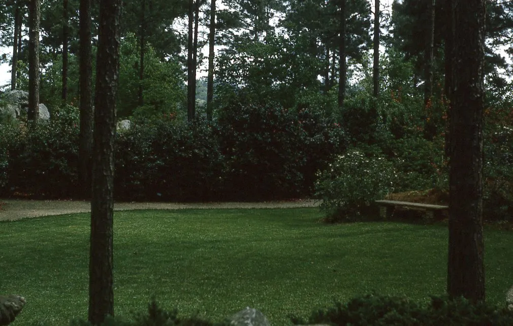 Hodges Gardens State Park 1970s