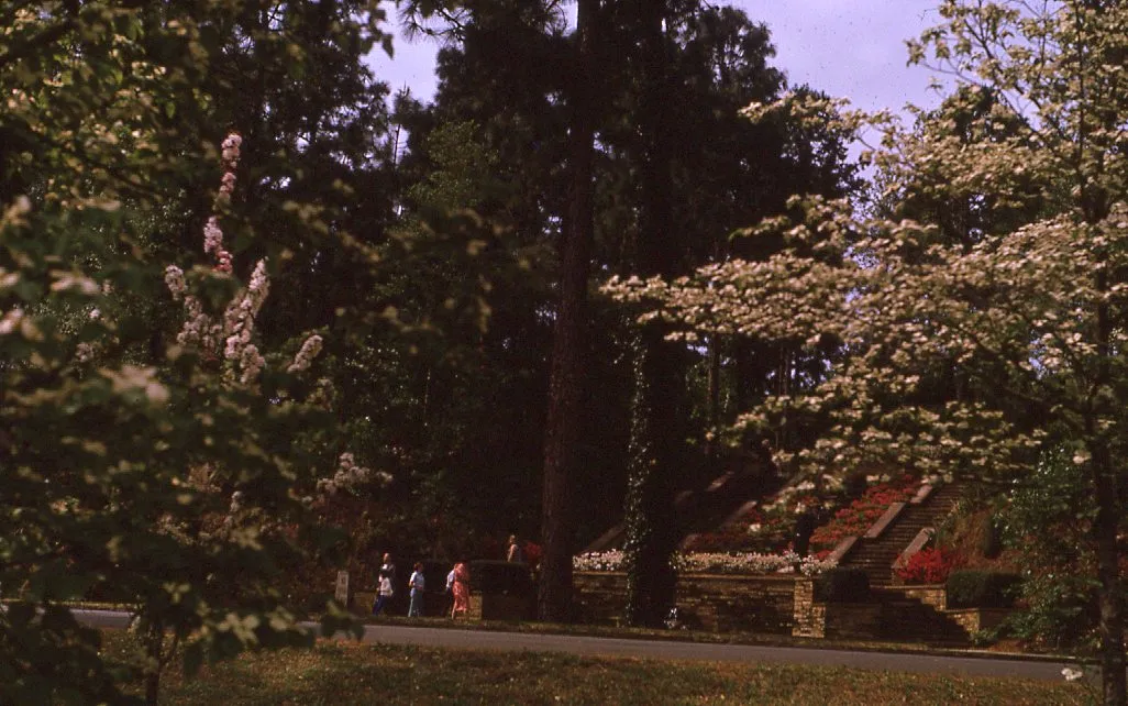 Hodges Gardens State Park 1970s