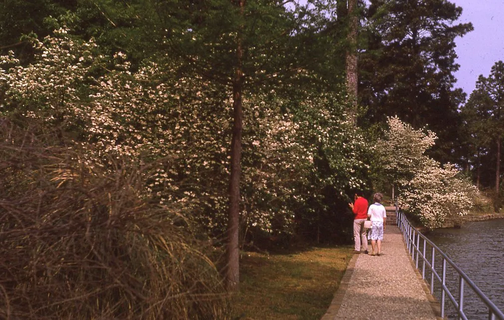 Hodges Gardens State Park 1970s