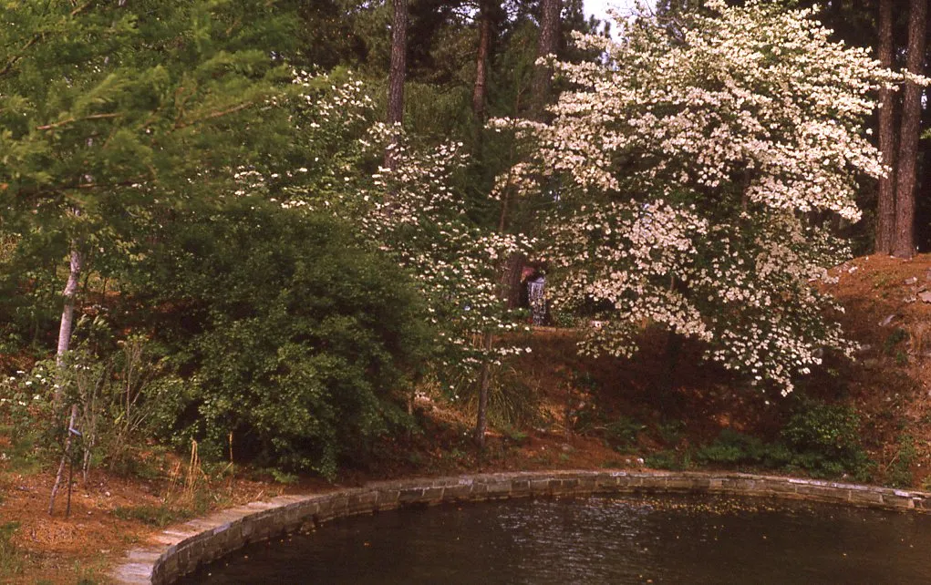 Hodges Gardens State Park 1970s