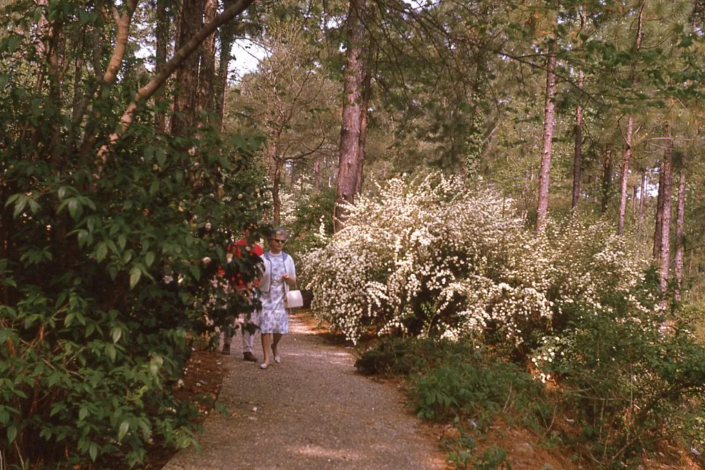 Hodges Gardens State Park 1970s