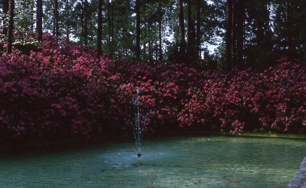 Hodges Gardens State Park 1970s