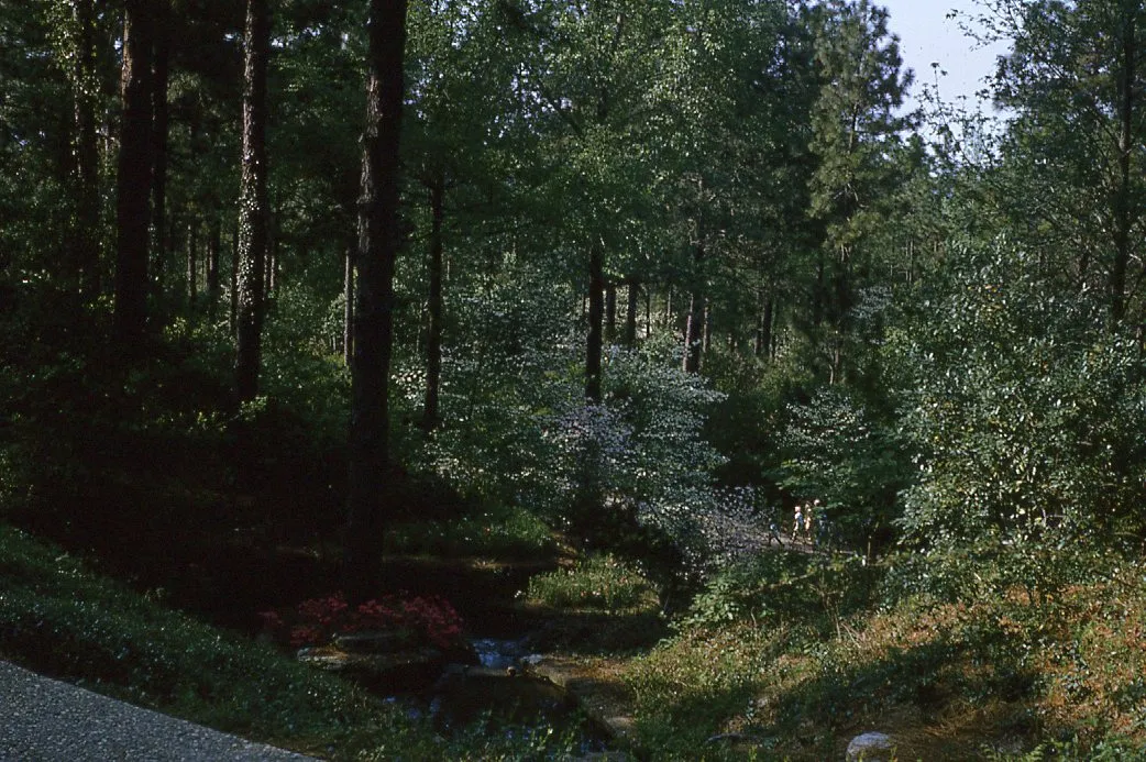 Hodges Gardens State Park 1970s