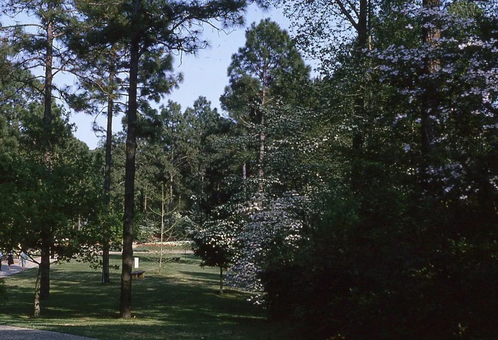 Hodges Gardens State Park 1970s