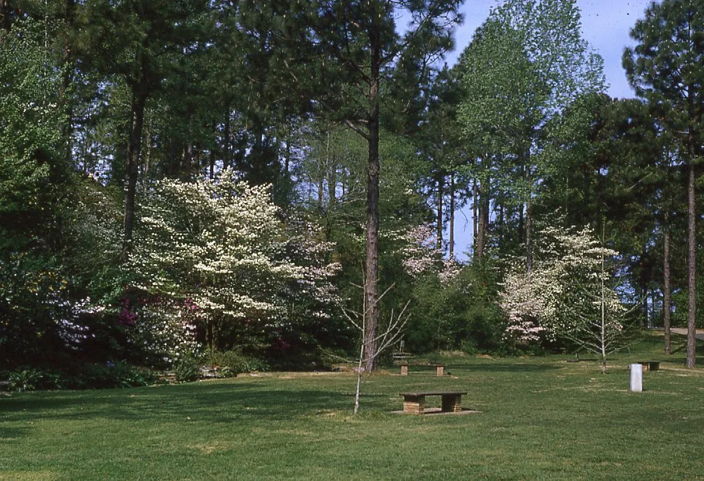 Hodges Gardens State Park 1970s