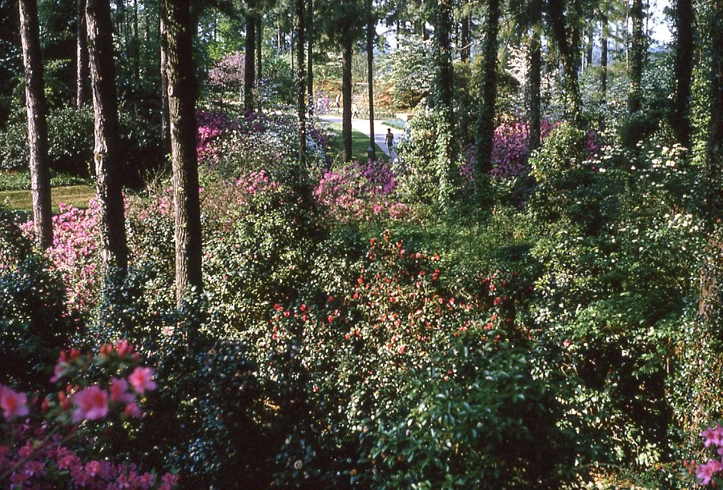 Hodges Gardens State Park 1970s