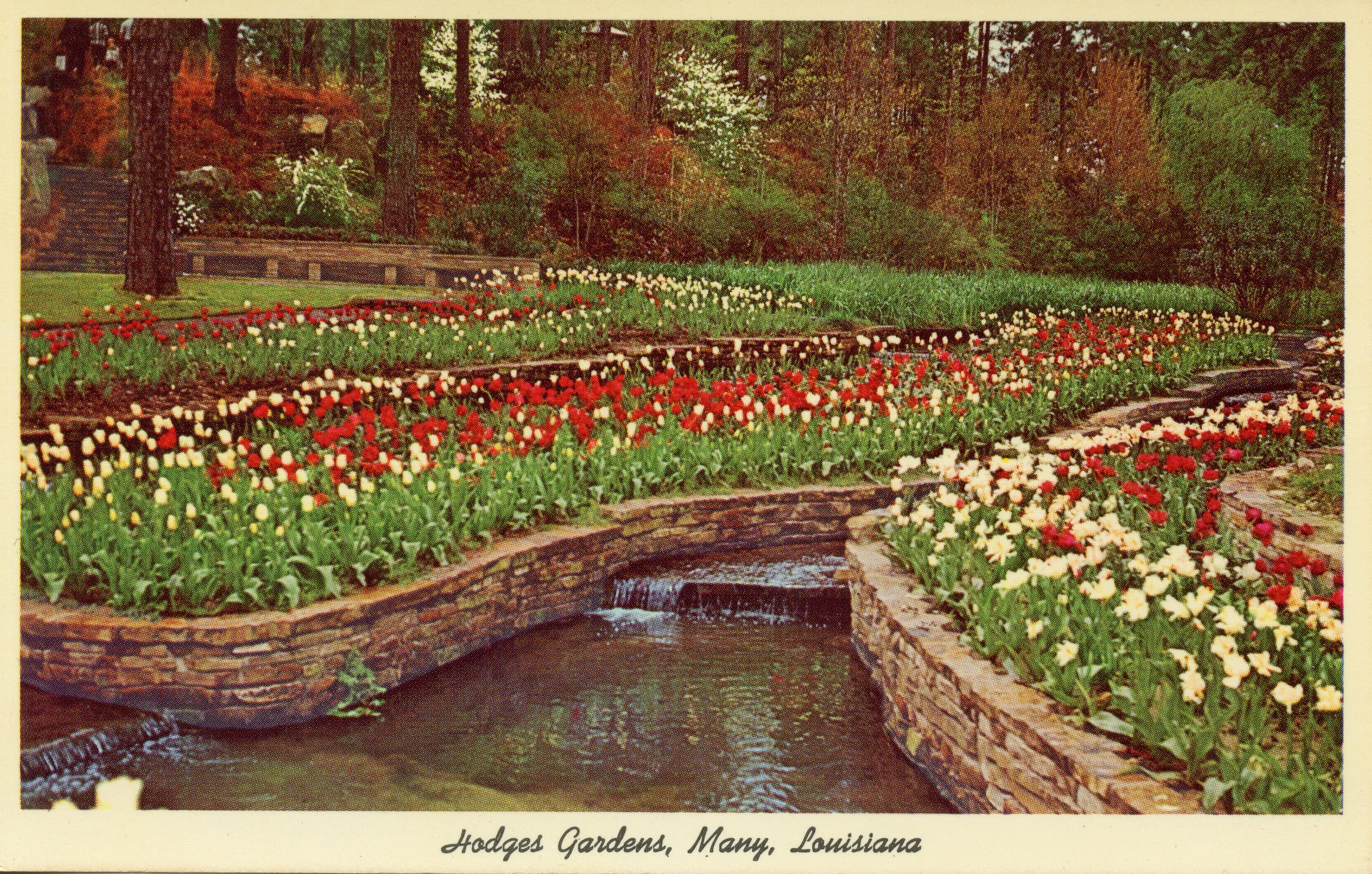 Hodges Gardens State Park 1970s