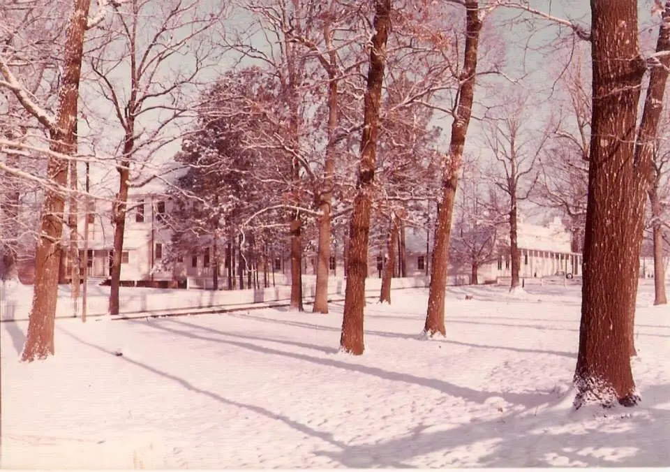 Photograph from the Facebook post “Photo of Fisher in the snow contributed by J Wayne Norsworthy.”