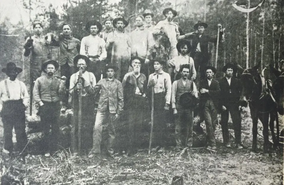 Photograph from the Facebook post “A log rolling in 1904 near Toro.”