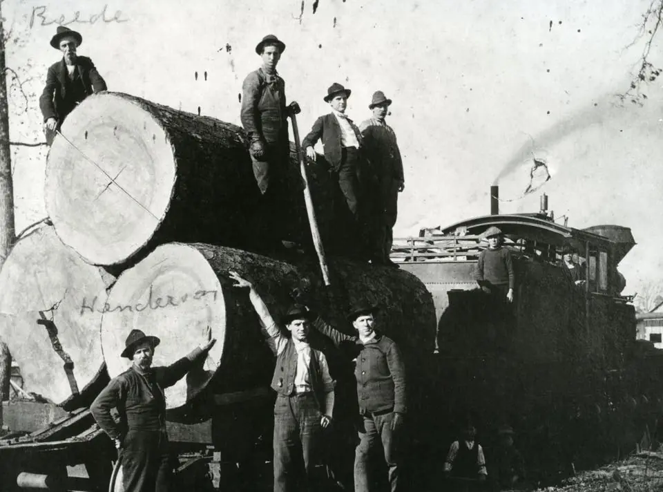 Photograph from the Facebook post “Logging in and around Sabine”