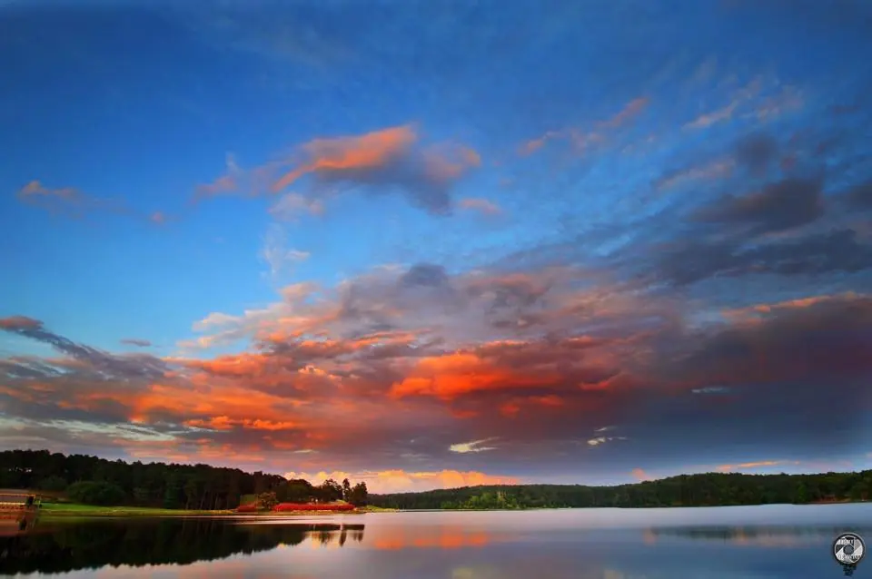 Photograph from the Facebook post “Colors at Hodges Gardens”
