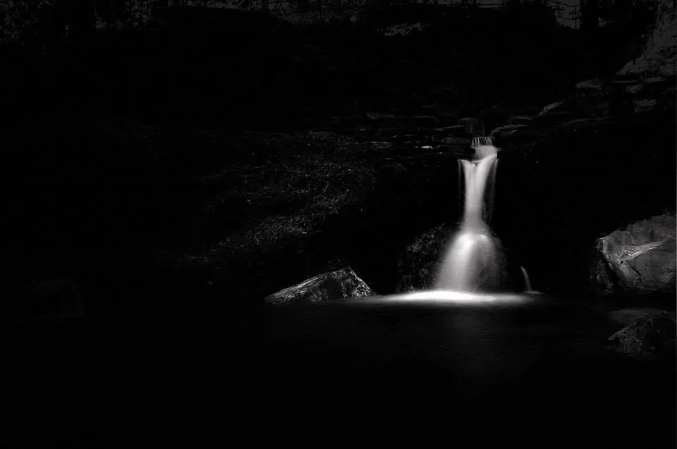 Photograph from the Facebook post “Taken at Hodges Gardens two weeks ago.”