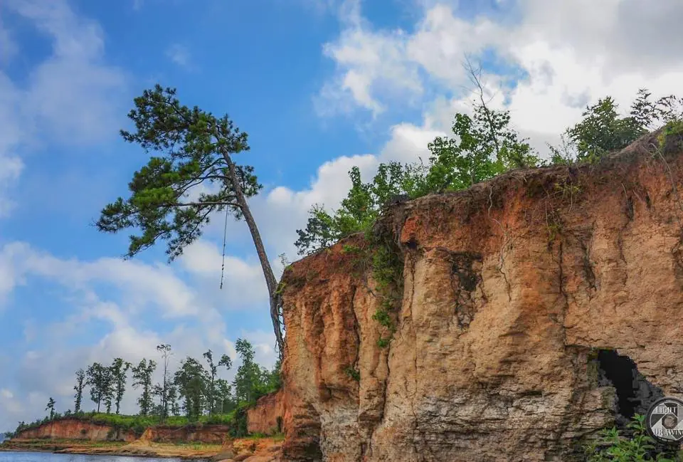 Photograph from the Facebook post “Toledo Bend bluffs”