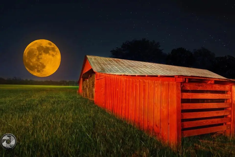 Photograph from the Facebook post “Taken last summer on Hwy.”