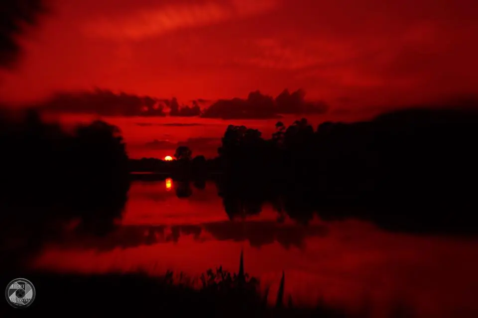 Photograph from the Facebook post “Calm sunset at Hodges Gardens.”