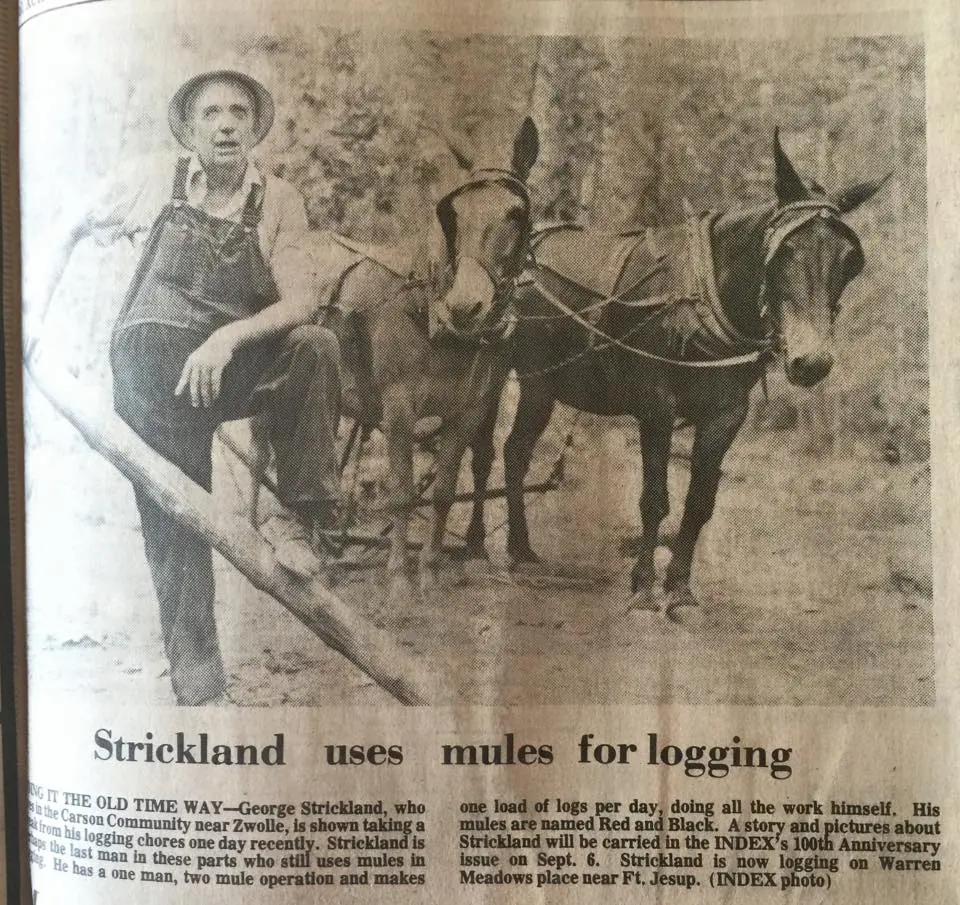 Photograph from the Facebook post “1979”