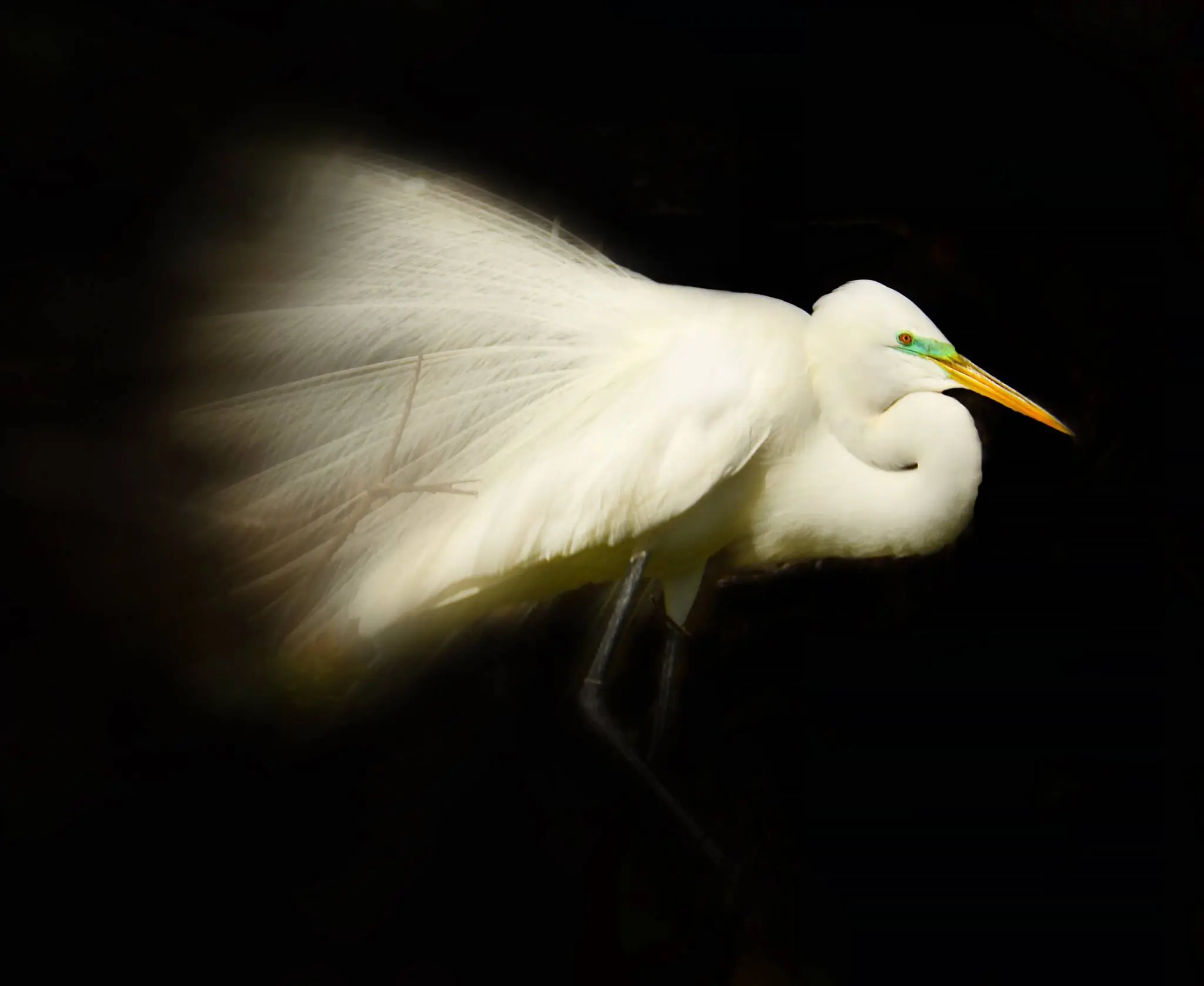 Photograph from the Facebook post “My 16-year-old daughter has been learning photography over the past few weeks.”
