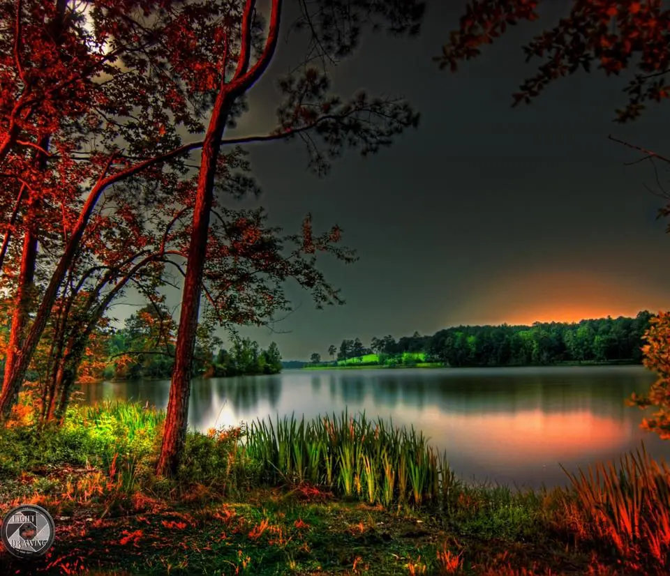 Photograph from the Facebook post “Night time at Hodges.”