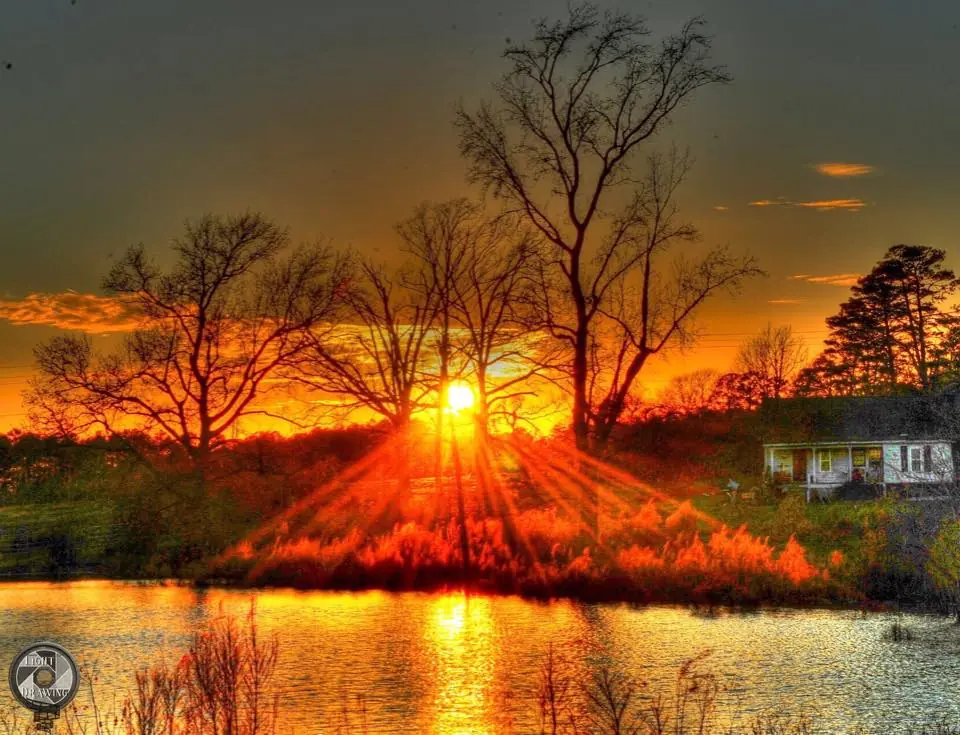 Photograph from the Facebook post “Taken a couple years ago at a farm on Anthony Road near Florien.”