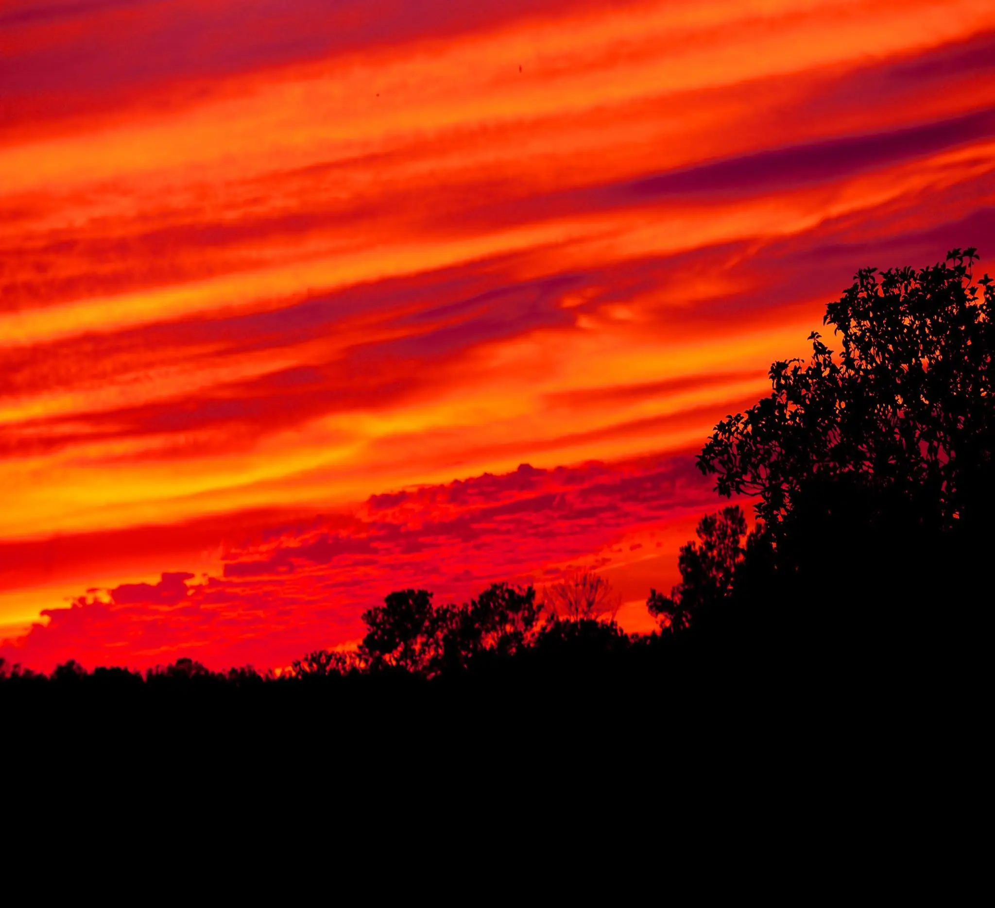 Photograph from the Facebook post “Some sun sets, at Hodges and one Toledo Bend...”
