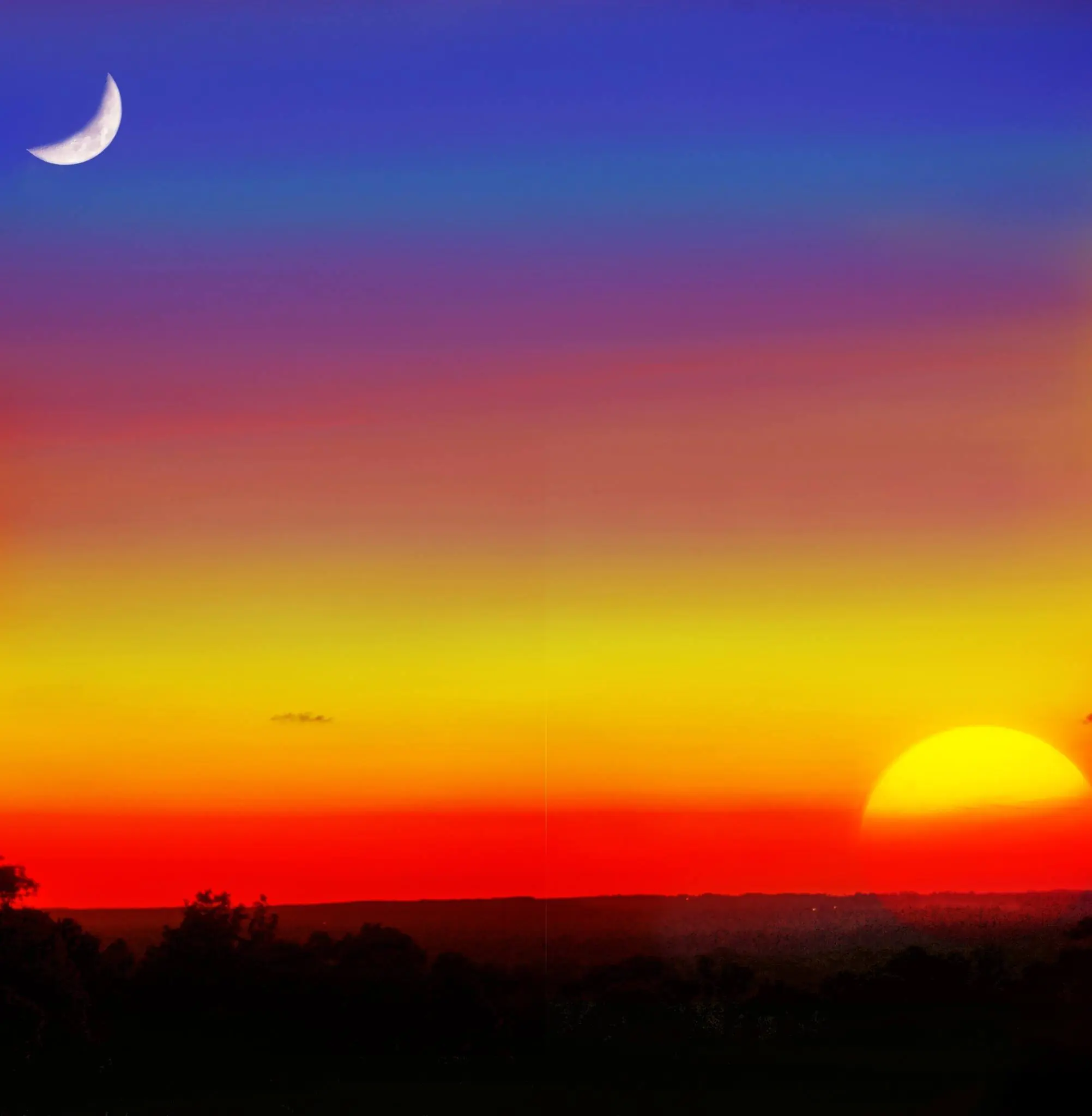 Photograph from the Facebook post “It is rare that you can catch the sun and moon in the same shot...”
