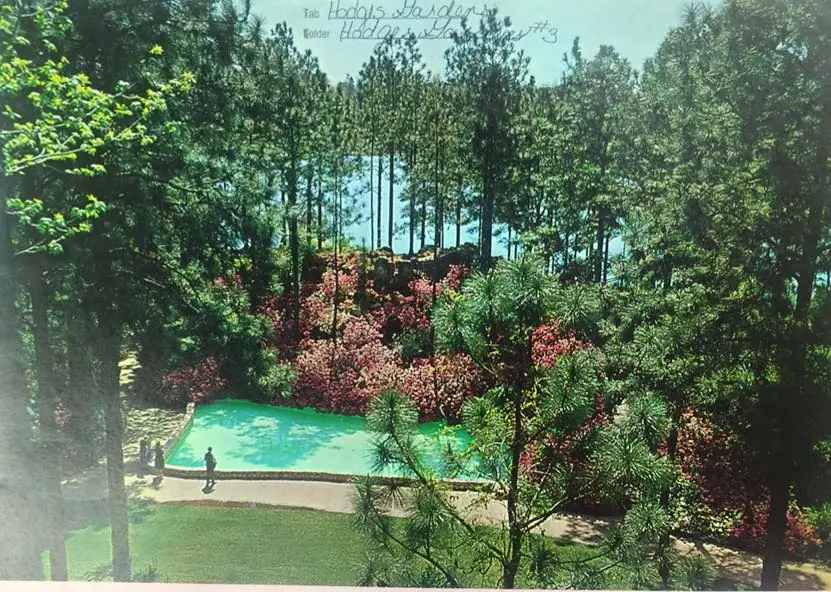Photograph from the Facebook post “Hodges Gardens.”