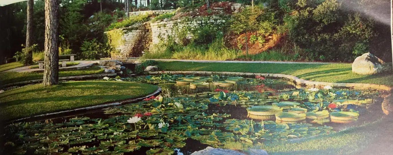 Photograph from the Facebook post “Hodges Gardens, 1961.”