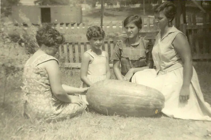 Photograph from the Facebook post “Photo from 1955 shared by Suzanne Craft of her mother and sisters.”