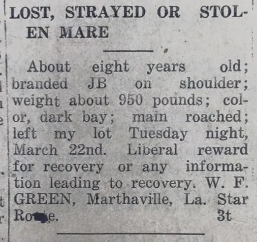 Photograph from the Facebook post “1927, missing mare.”