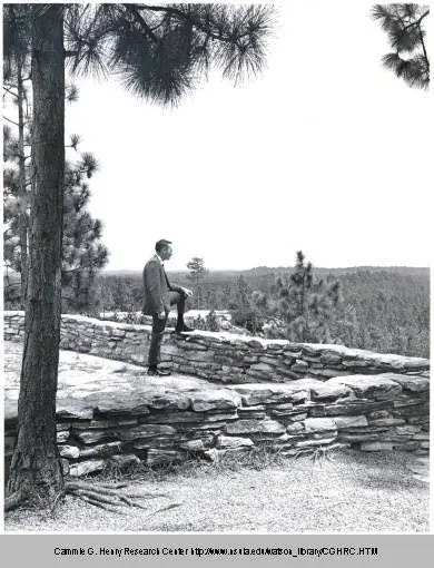 Photograph from the Facebook post “From Natchitoches Chamber of Commerce, picture of Kisatchie National Forest lookout.”
