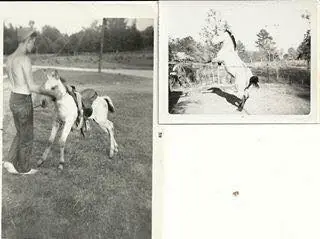 Photograph from the Facebook post “Fun photo of Jerry Slaughter of Florien and his horse, Buck.”