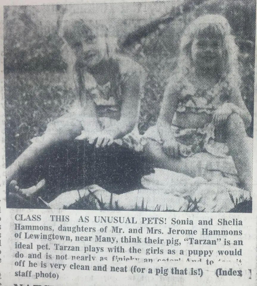Photograph from the Facebook post “Sonia and Shelia Hammons.”