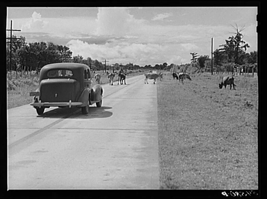 Photograph from the Facebook post “Somewhere in Natchitoches Parish, 1940-ish.”