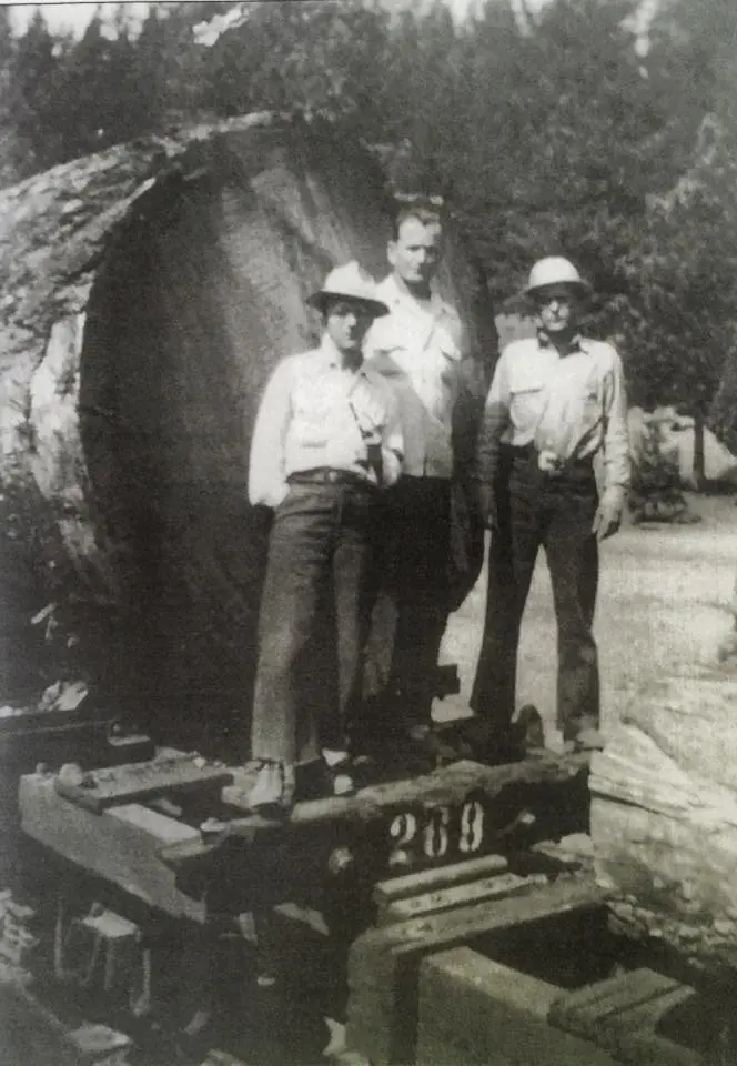 Photograph from the Facebook post “Mansfield Hardwood Log train, 1930s.”