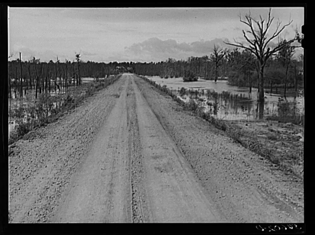 Photograph from the Facebook post “Melrose, Natchitoches Parish, Louisiana.”