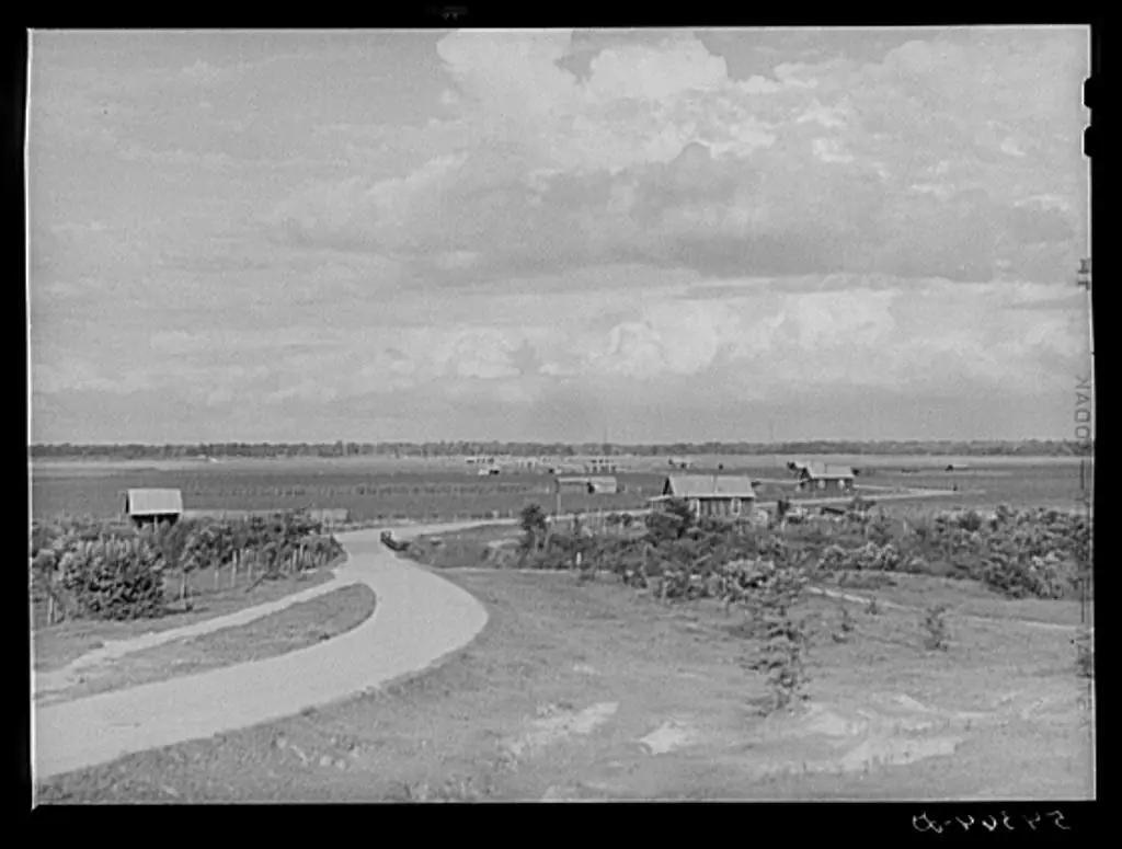 Photograph from the Facebook post “Dated 1940, from the U.S.”