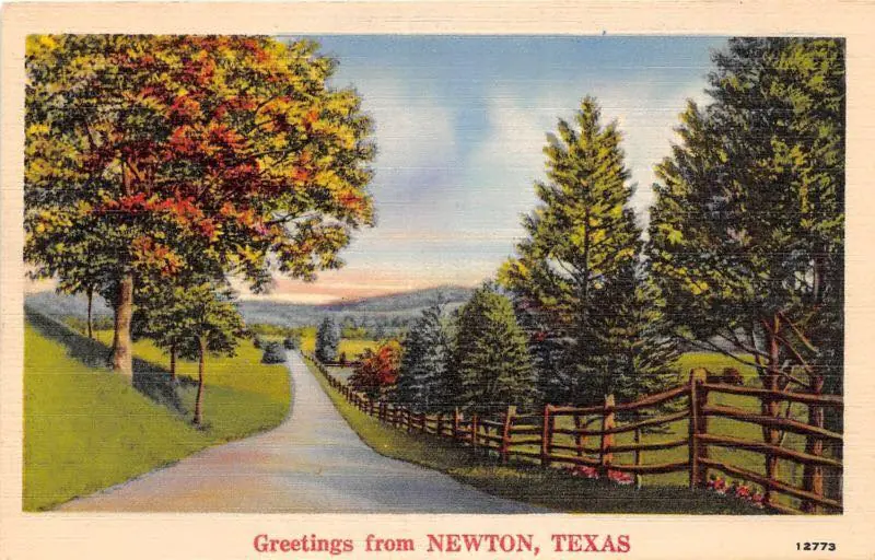 Photograph from the Facebook post “Vintage post card from Newton, Texas”