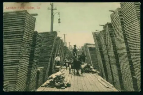 Photograph from the Facebook post “Lumber yard, Louisiana Long Leaf Lumber Company in Fisher.”