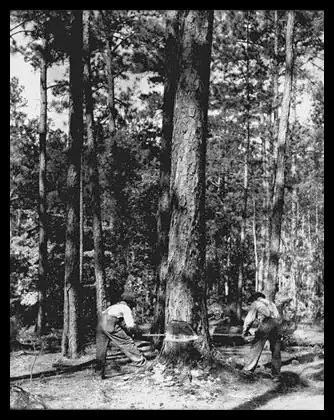Photograph from the Facebook post “Early 1900s.”