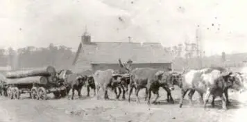 Photograph from the Facebook post “1918.”