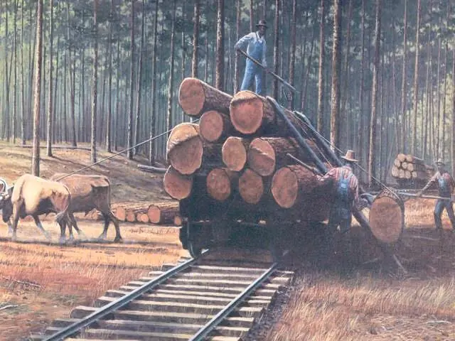 Photograph from the Facebook post “Beauregard Parish.”