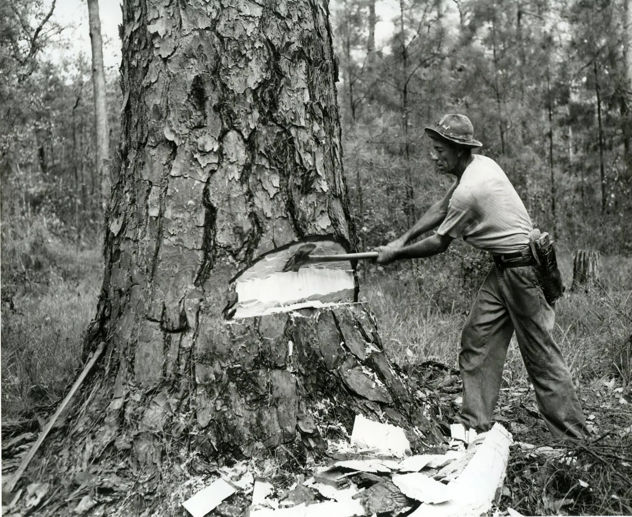 Photograph from the Facebook post “Undercutting with axe.”