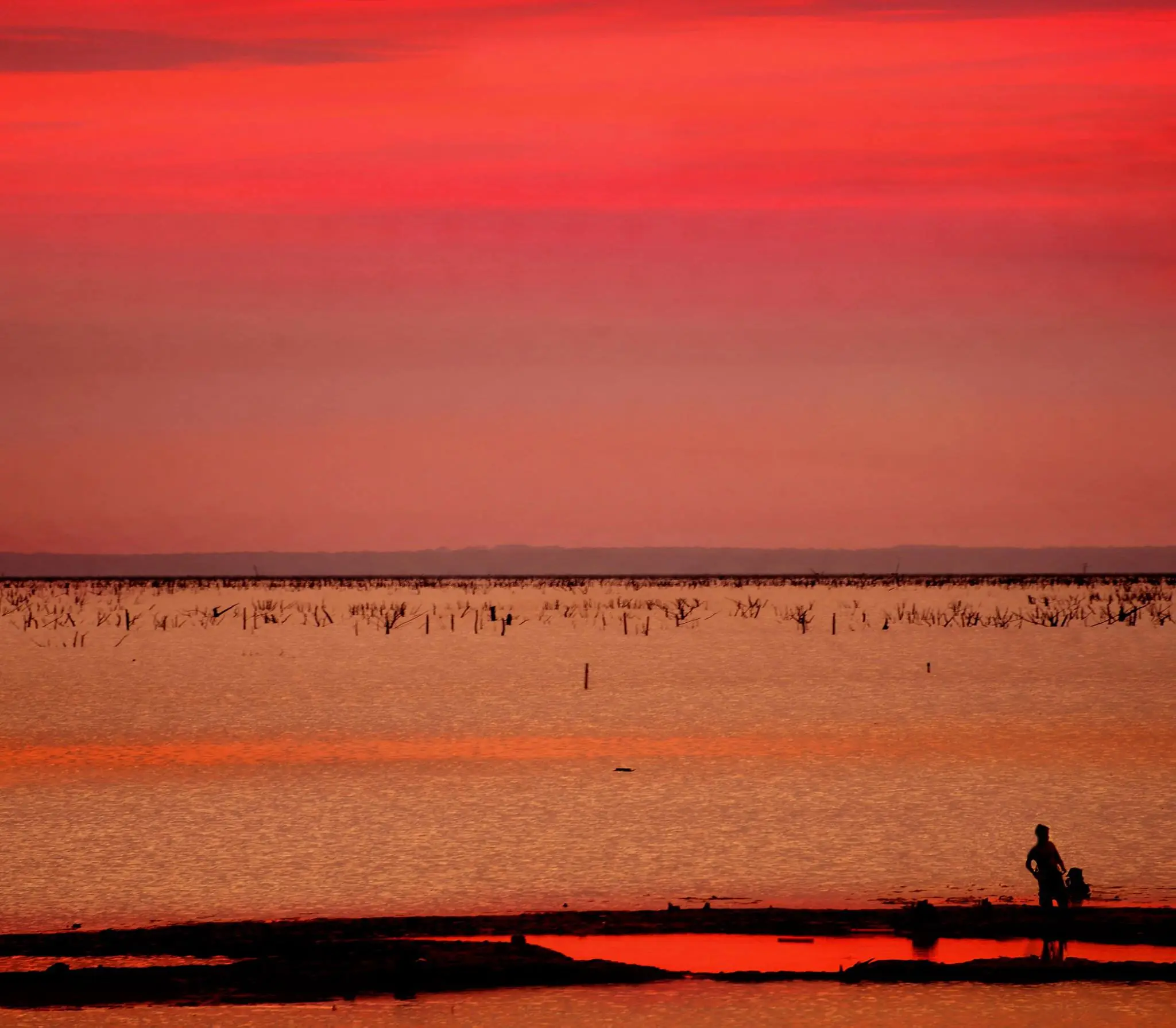 Photograph from the Facebook post “Red lake ...”
