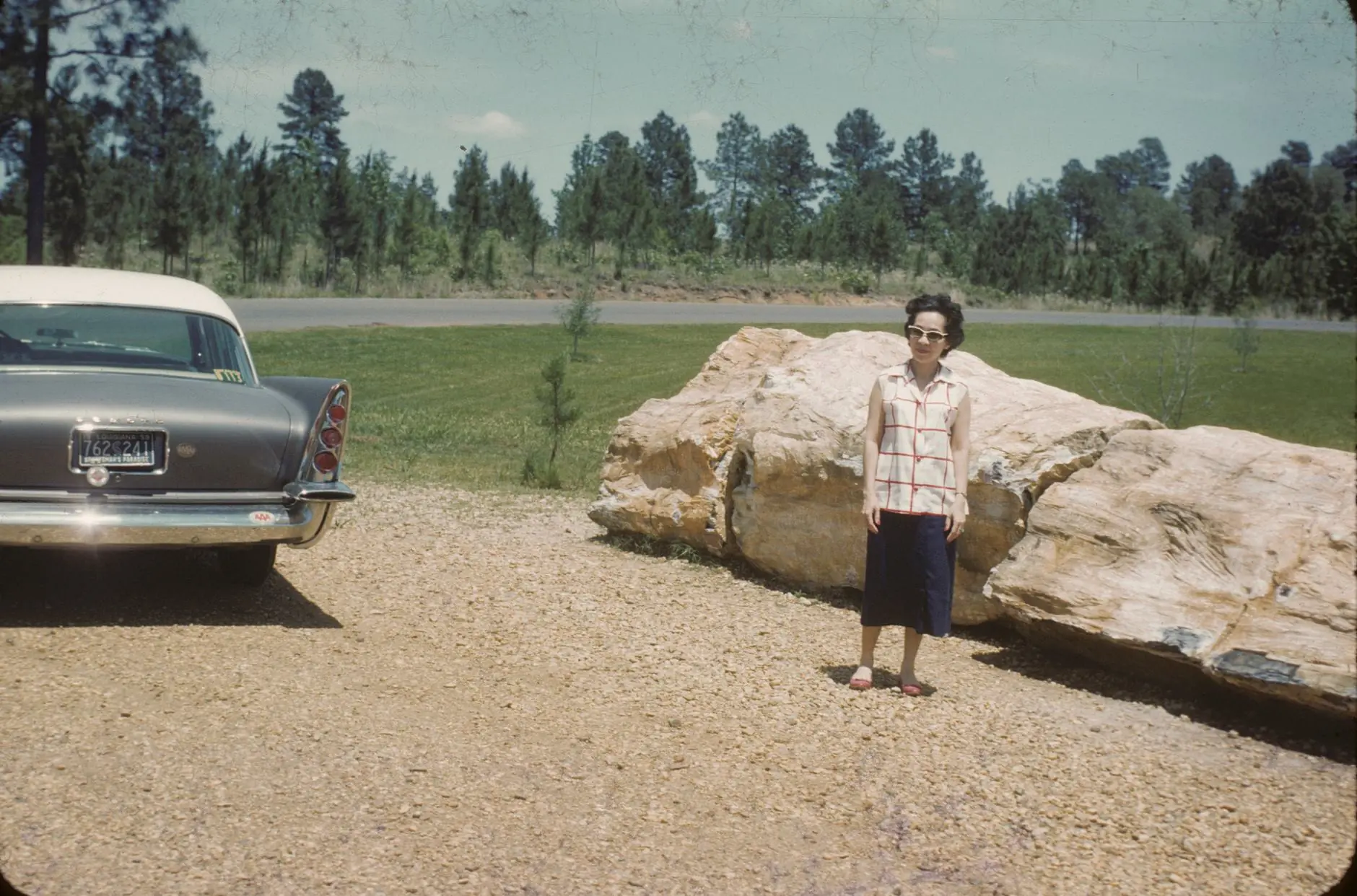 Photograph from the Facebook post “Photo taken at Hodges Gardens, 1959.”