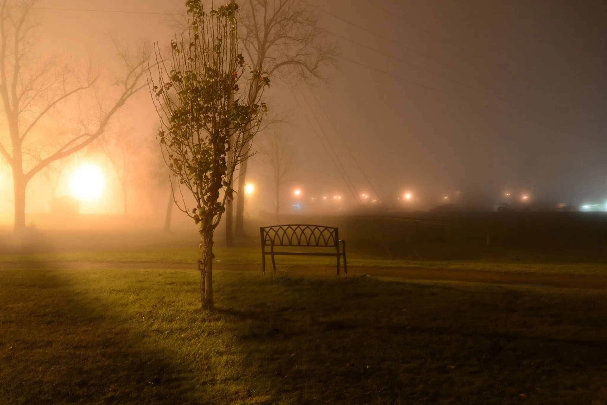 Photograph from the Facebook post “Looking towards the Zwolle Festival Grounds, in Zwolle, Louisiana last night.”