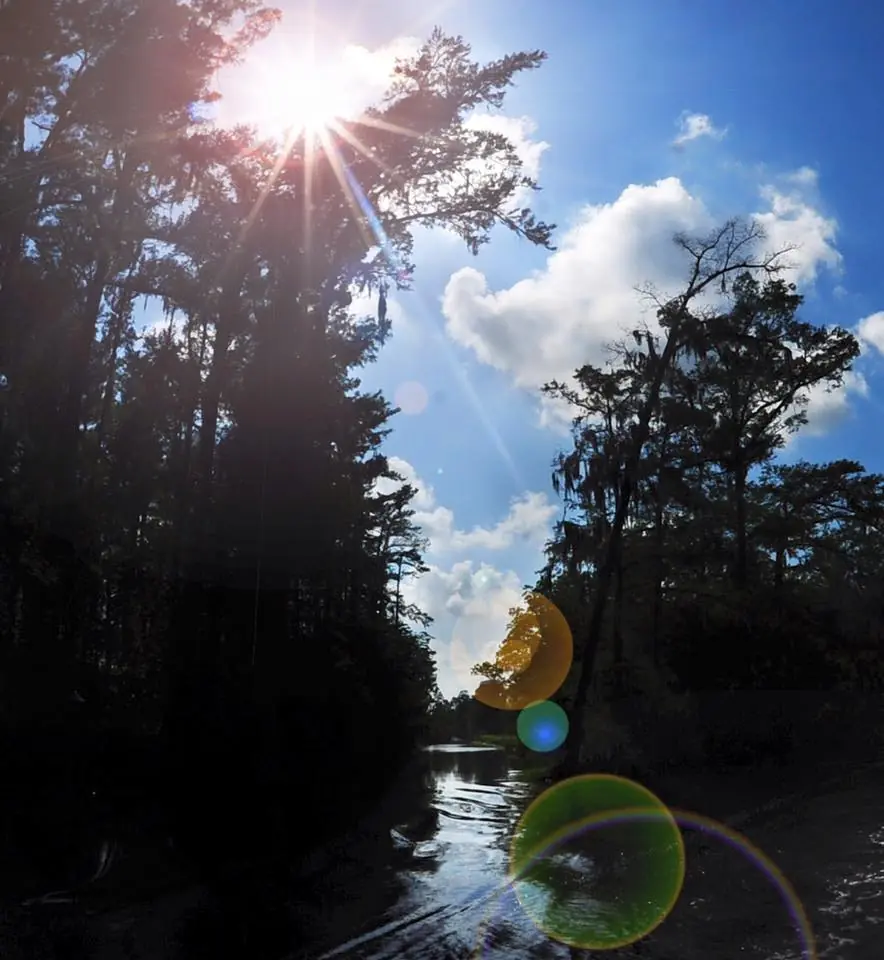 Photograph from the Facebook post “Adam's Bayou.”