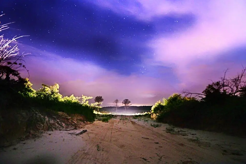 Photograph from the Facebook post “Partly cloudy night on dirt road in the woods of Sabine Parish, Louisiana.”