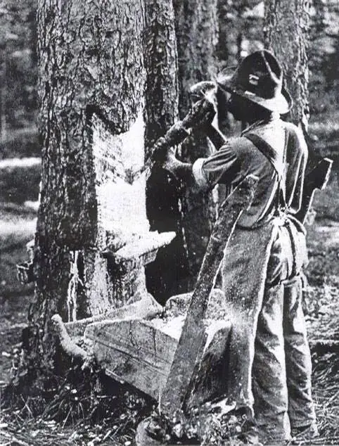 Photograph from the Facebook post “1950.”